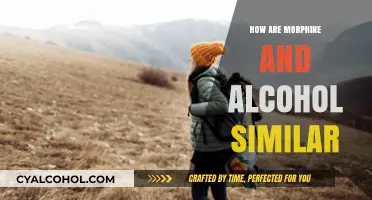 Morphine and Alcohol: Uncovering Their Similar Effects and Risks