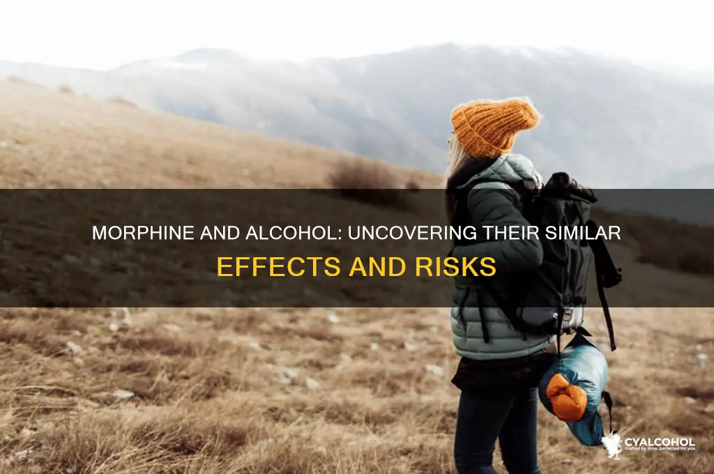 how are morphine and alcohol similar