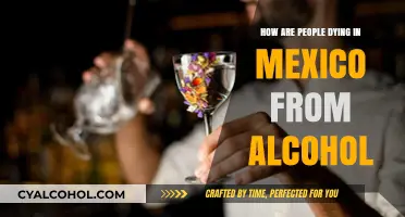 Deadly Mexican Alcohol Crisis: Understanding the Tragic Causes of Deaths