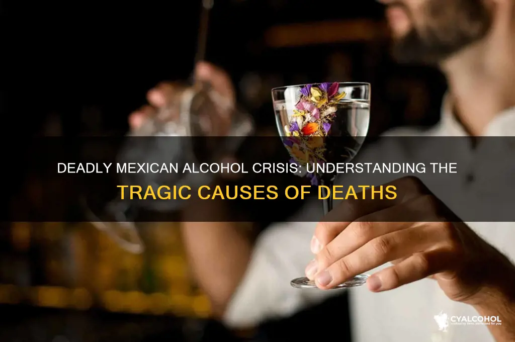 how are people dying in mexico from alcohol