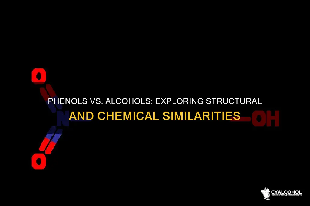 how are phenols and alcohols similar