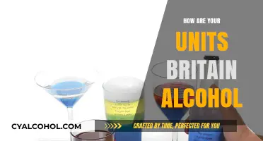 Understanding Britain's Alcohol Units: A Comprehensive Guide to Drinking Responsibly