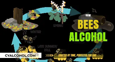 Buzzed Bees: How Alcohol Affects Their Behavior and Survival