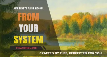 Effective Ways to Detox: Flushing Alcohol from Your System Fast