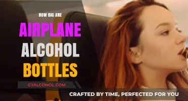 Airplane Alcohol Bottles: Sizes, Standards, and What to Expect