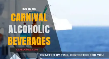 Carnival Cruise Alcoholic Drinks: Sizes, Options, and What to Expect