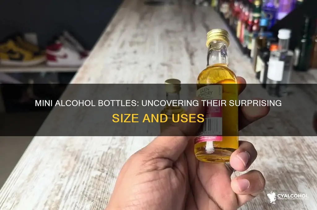 how big are mini alcohol bottles