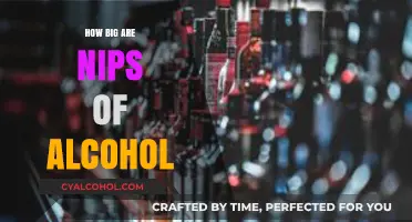 Exploring the Size of Alcohol Nips: A Comprehensive Guide