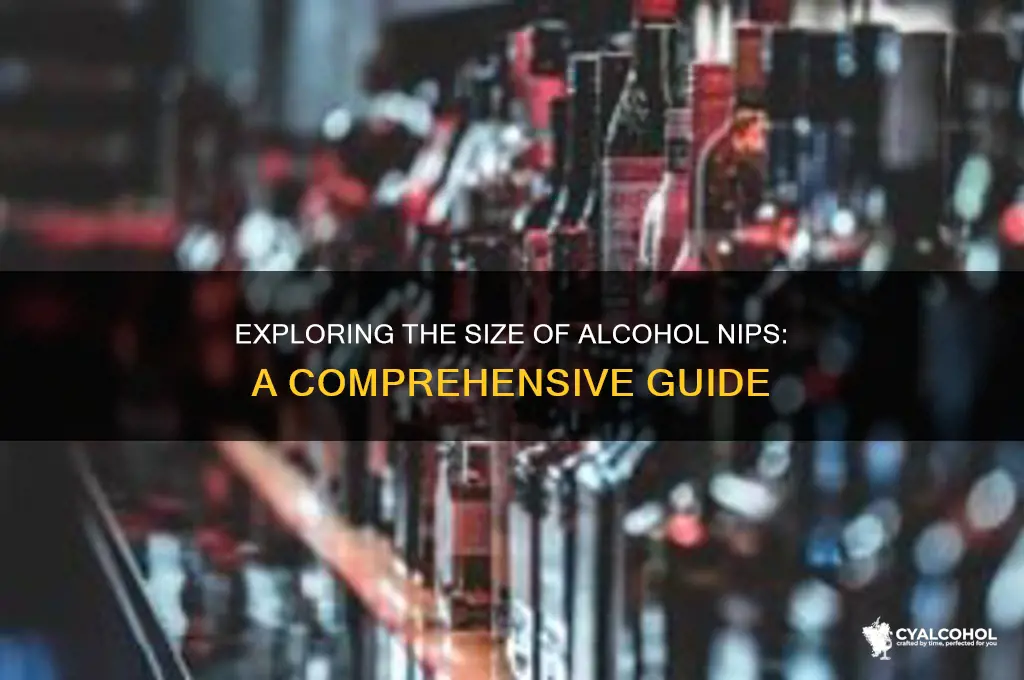 how big are nips of alcohol