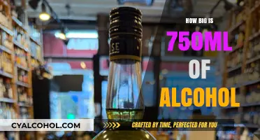 Understanding the Size of a Standard 750ml Alcohol Bottle