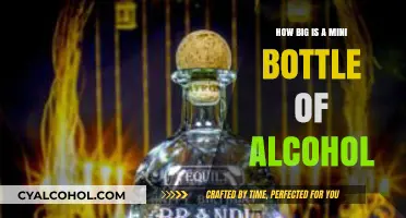 Mini Bottle Alcohol Size Guide: How Big Are They?