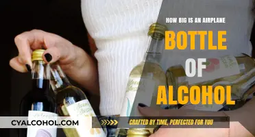 Airplane Bottle Alcohol Size: A Quick Guide to In-Flight Drinks