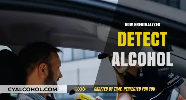 How Breathalyzers Detect Alcohol: Science Behind BAC Measurement Explained