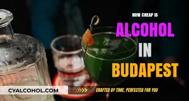Budapest's Booze Budget: Unbelievably Affordable Alcohol Prices Revealed