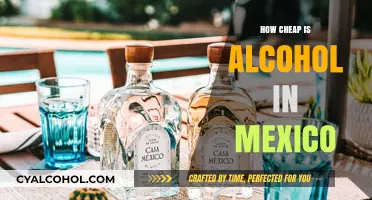 Cheap Alcohol in Mexico: Unbelievable Prices and Popular Drinks