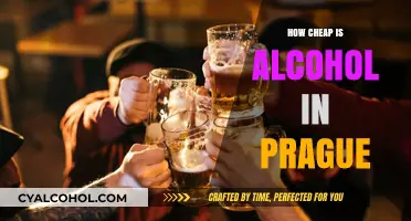 Prague's Affordable Alcohol: A Budget-Friendly Drinkers' Paradise Explored