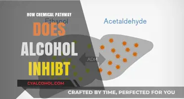 How Alcohol Disrupts Metabolic Pathways: A Chemical Inhibition Explained