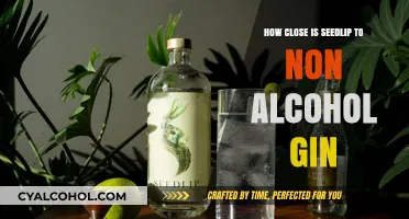 Seedlip vs. Non-Alcoholic Gin: A Close Taste Comparison