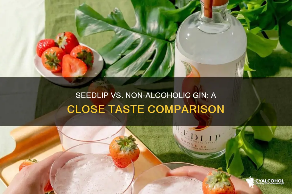 how close is seedlip to non alcohol gin
