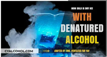 Dry Ice and Denatured Alcohol: Exploring Extreme Cold Temperatures