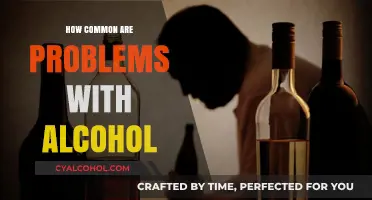 Understanding the Prevalence of Alcohol-Related Issues in Society Today