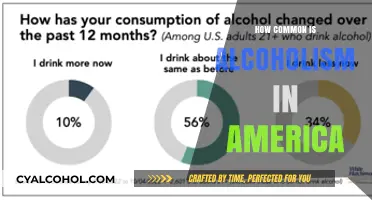 Understanding Alcoholism: Prevalence and Impact in American Society Today