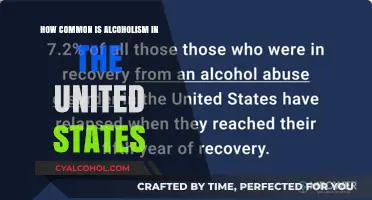 Understanding Alcoholism: Prevalence and Impact in the United States