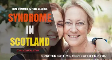 Fetal Alcohol Syndrome in Scotland: Prevalence and Awareness