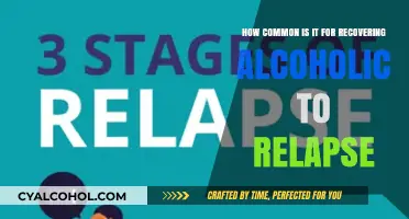 Relapse: A Common Challenge in Alcoholism Recovery