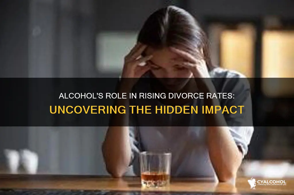 how could alcohol contribute to our divorce rate