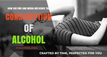 Media and Culture: Alcohol Consumption Influencers