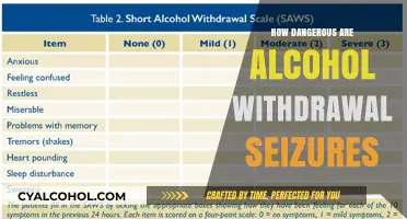 Alcohol Withdrawal Seizures: Understanding the Risks and Dangers Involved