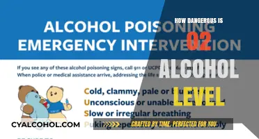 Understanding the Severe Risks of a 0.2% Alcohol Level