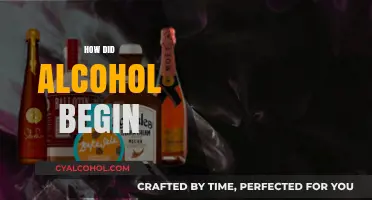 The Ancient Origins and Evolution of Alcohol in Human History