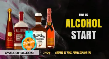 The Ancient Origins of Alcohol: A Journey Through Time