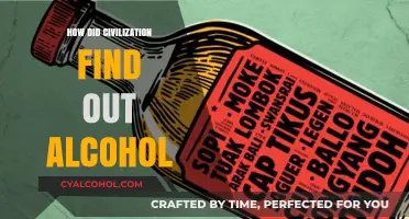 Unveiling the Ancient Discovery of Alcohol: Civilization's Intoxicating Journey