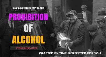 Reactions to Alcohol Prohibition: A Historical Perspective