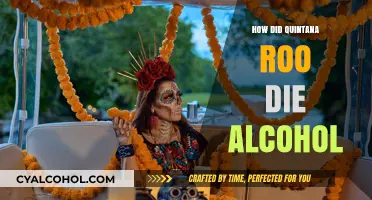 Quintana Roo's Tragic Death: Alcohol's Role in the Loss
