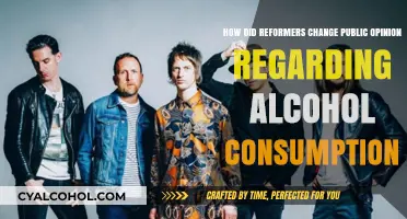 Reformers' Strategies to Change Public Opinion on Alcohol Consumption
