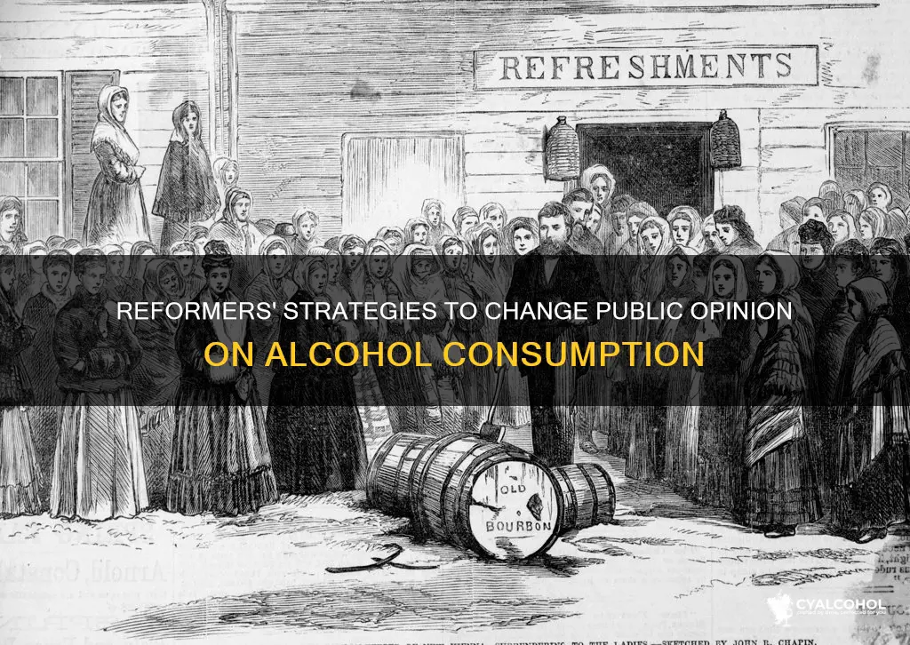 how did reformers change public opinion regarding alcohol consumption