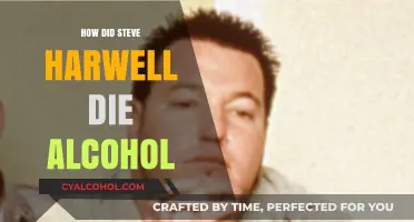 Steve Harwell's Tragic Death: Alcohol's Role in His Passing