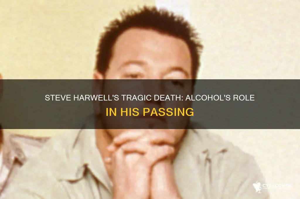 how did steve harwell die alcohol