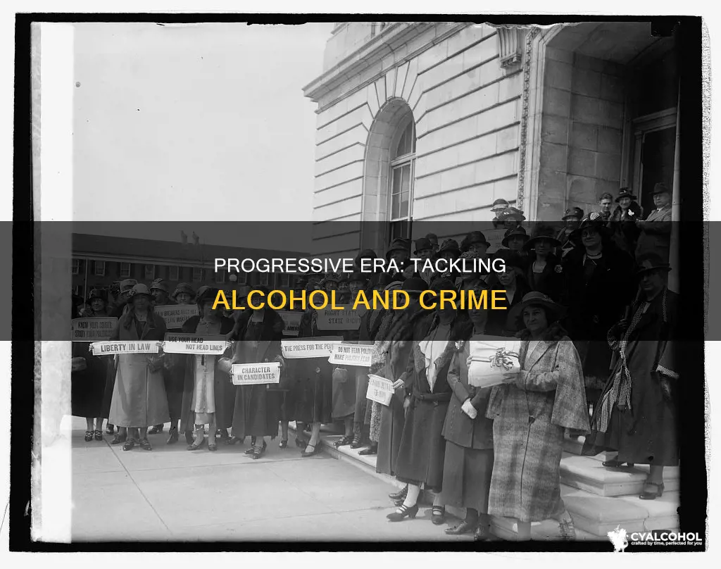 how did the progessive address social probelm alcohol and crime