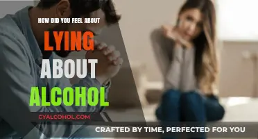 The Emotional Weight of Lying About Alcohol: Reflections and Realizations