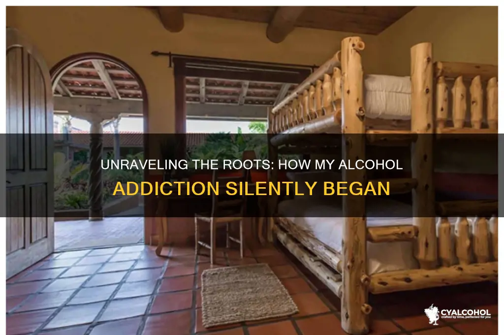 how did your alcohol addiction start