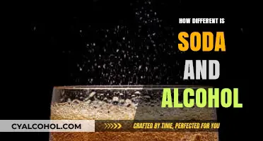 Soda vs. Alcohol: Key Differences in Ingredients, Effects, and Consumption