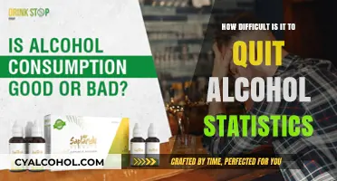 Quitting Alcohol: Uncovering the Challenges and Success Rates by the Numbers