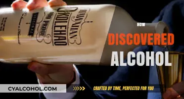 Unveiling the Ancient Origins of Alcohol: A Journey Through Time
