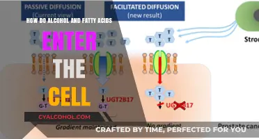 Unlocking Cell Entry: Alcohol and Fatty Acids