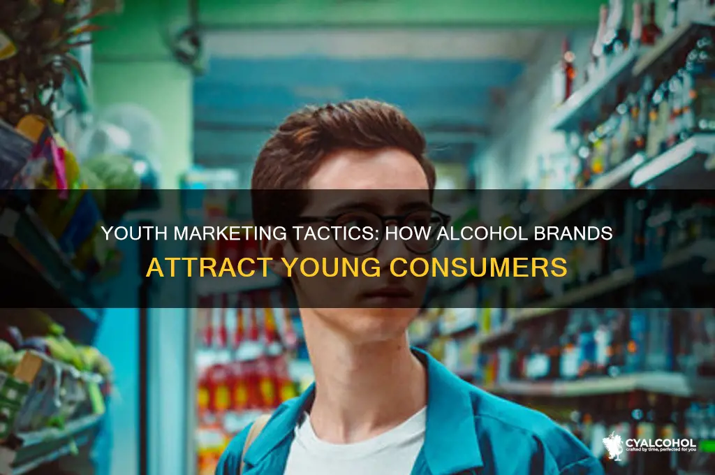 how do alcohol companies target youth